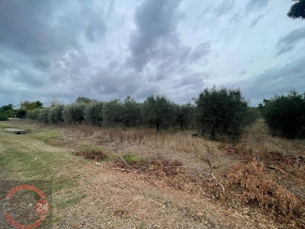 immagine annuncio 5 di 7