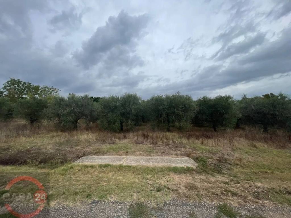 immagine annuncio 6 di 7