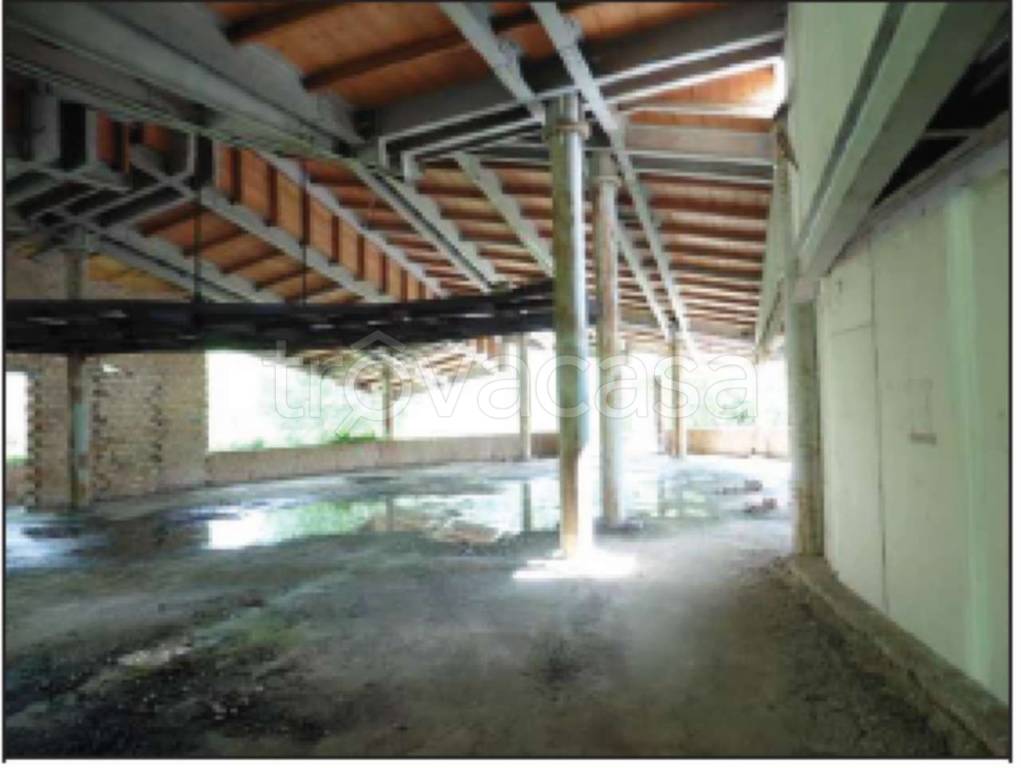 immagine annuncio 2 di 7