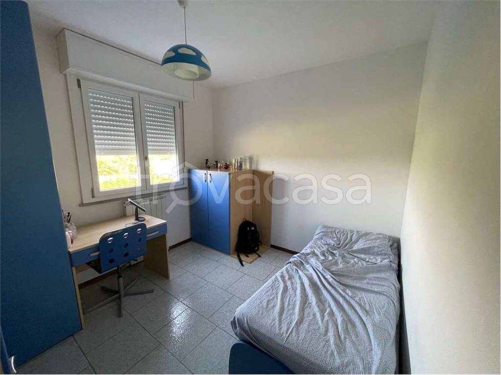 immagine annuncio 9 di 14