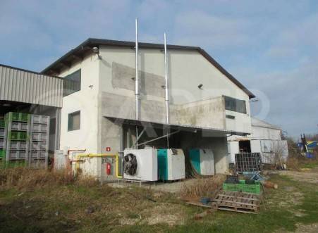 immagine annuncio 6 di 7