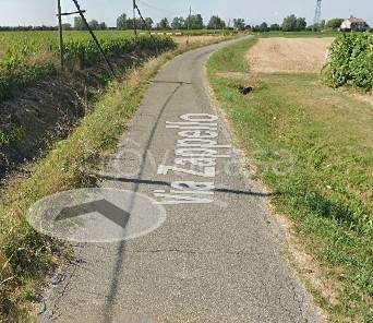 immagine annuncio 1 di 11