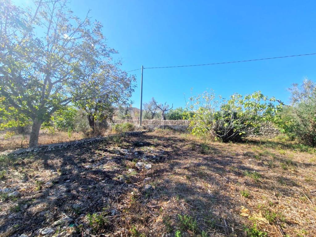 immagine annuncio 4 di 9