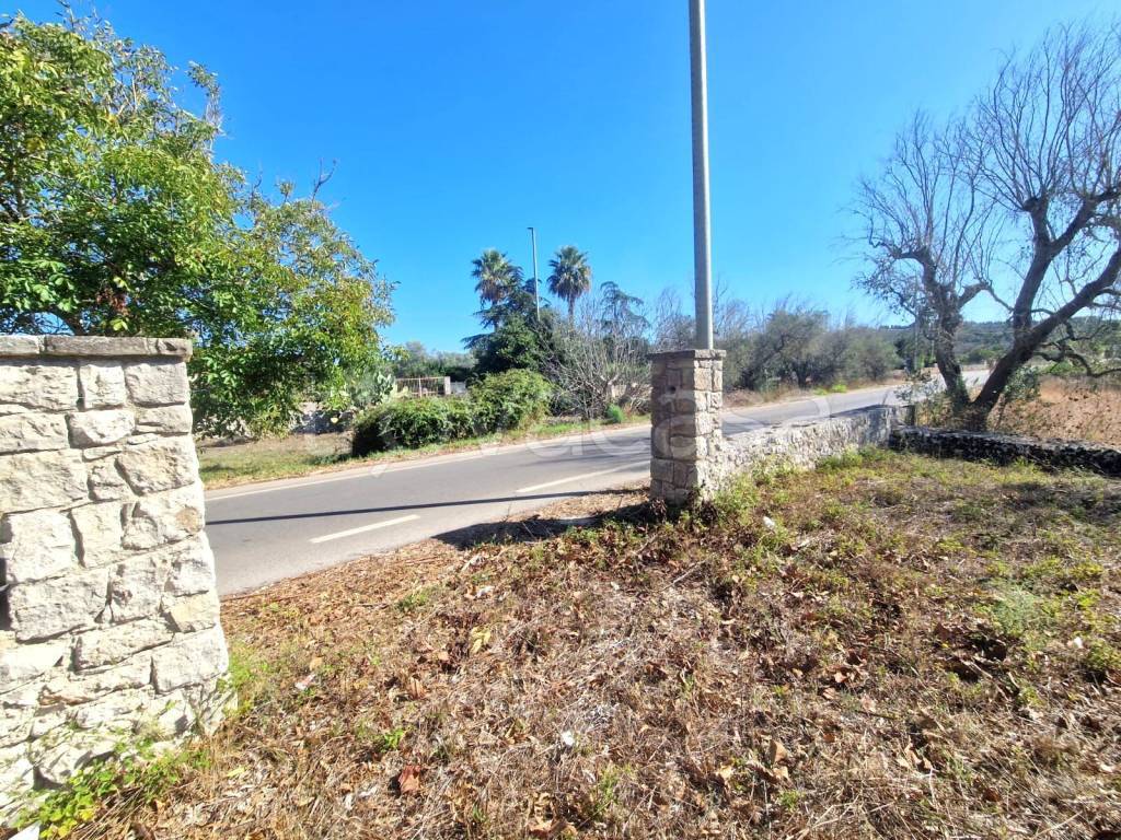 immagine annuncio 7 di 9