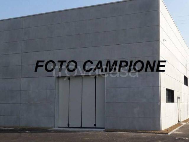 immagine annuncio 2 di 7