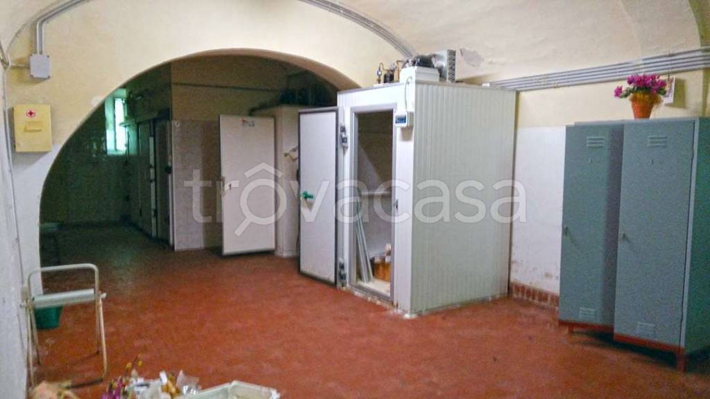 immagine annuncio 5 di 14