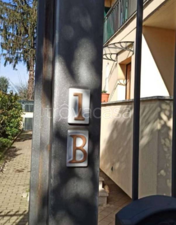 immagine annuncio 4 di 14