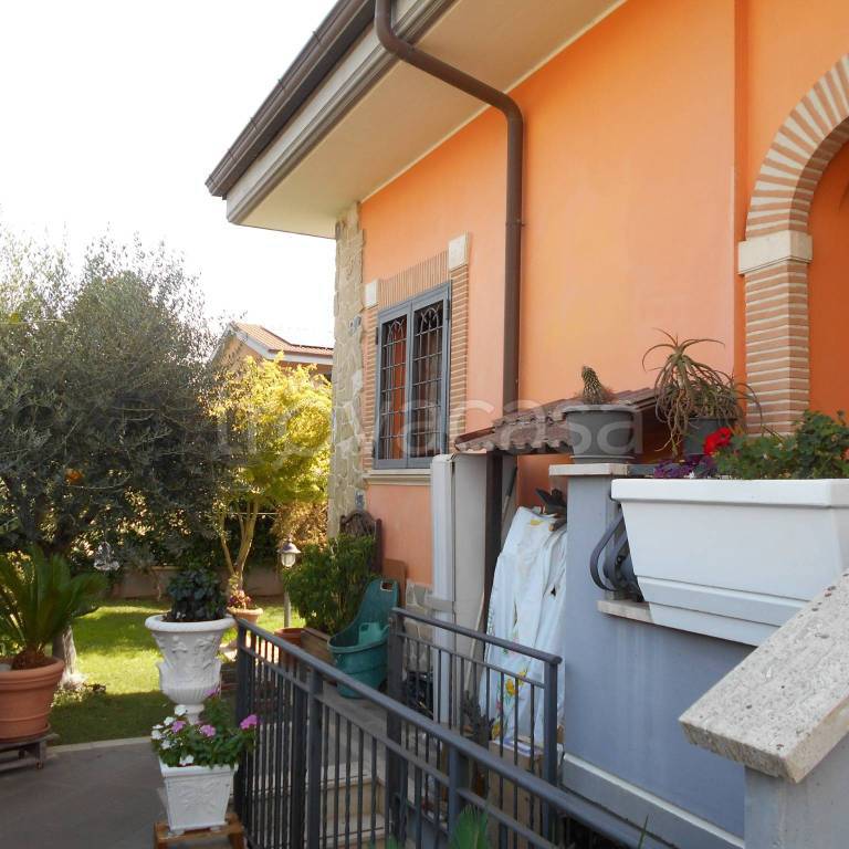 immagine annuncio 11 di 15