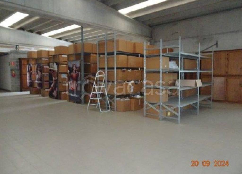 immagine annuncio 2 di 11