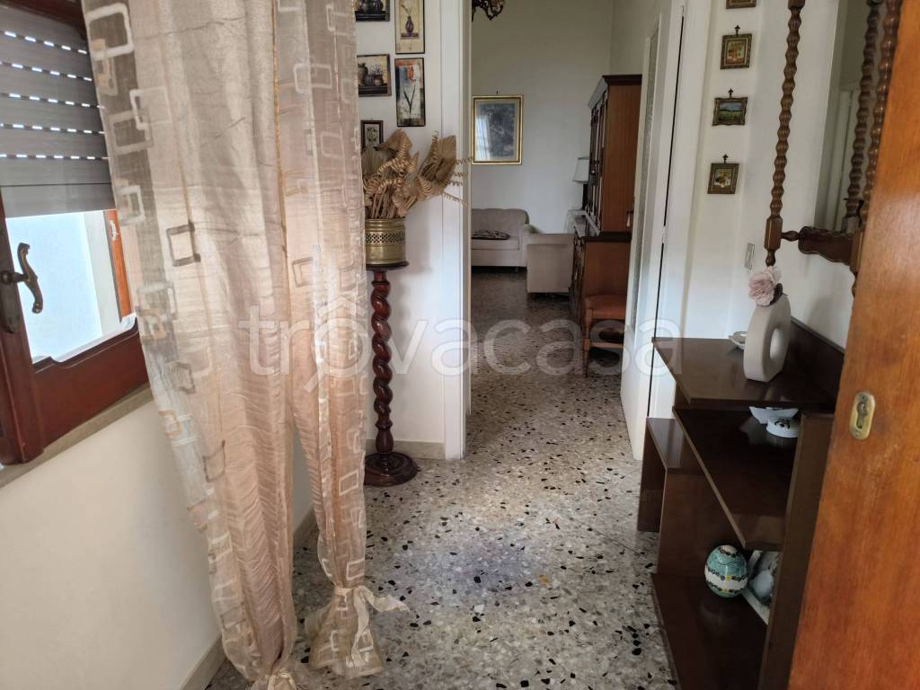 immagine annuncio 5 di 14
