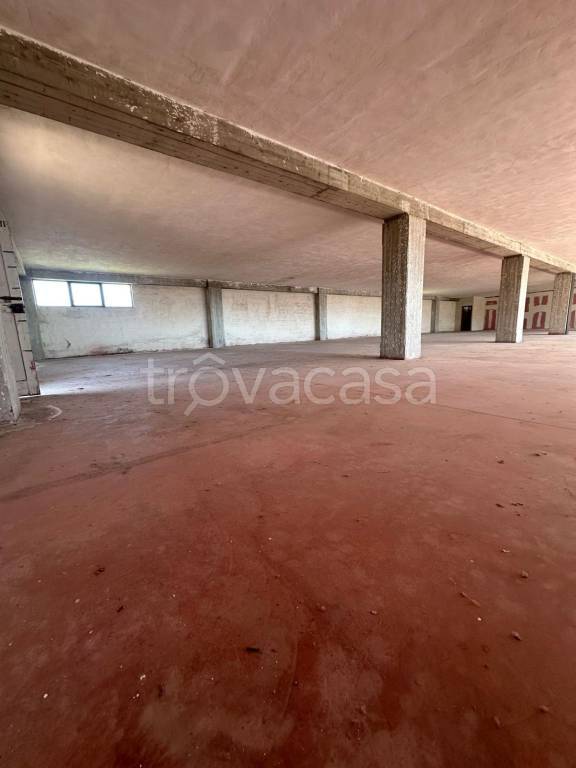 immagine annuncio 5 di 9