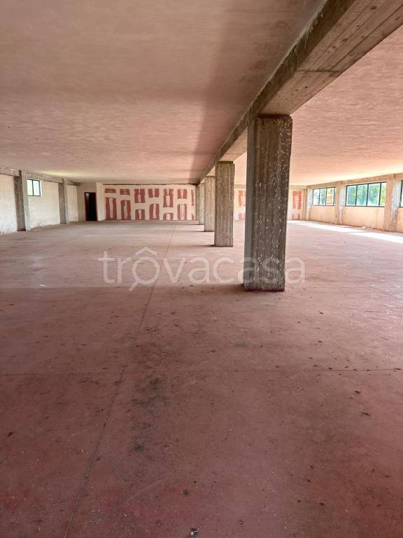 immagine annuncio 2 di 9