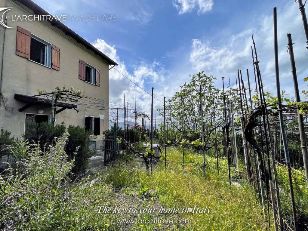immagine annuncio 1 di 6