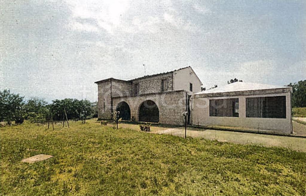 immagine annuncio 3 di 13