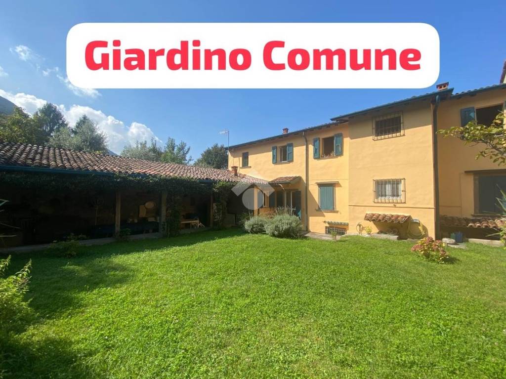 immagine annuncio 11 di 14