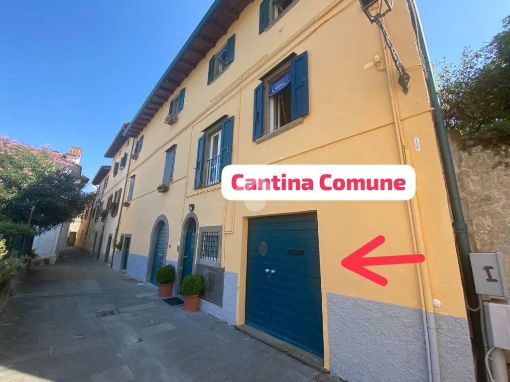 immagine annuncio 12 di 14