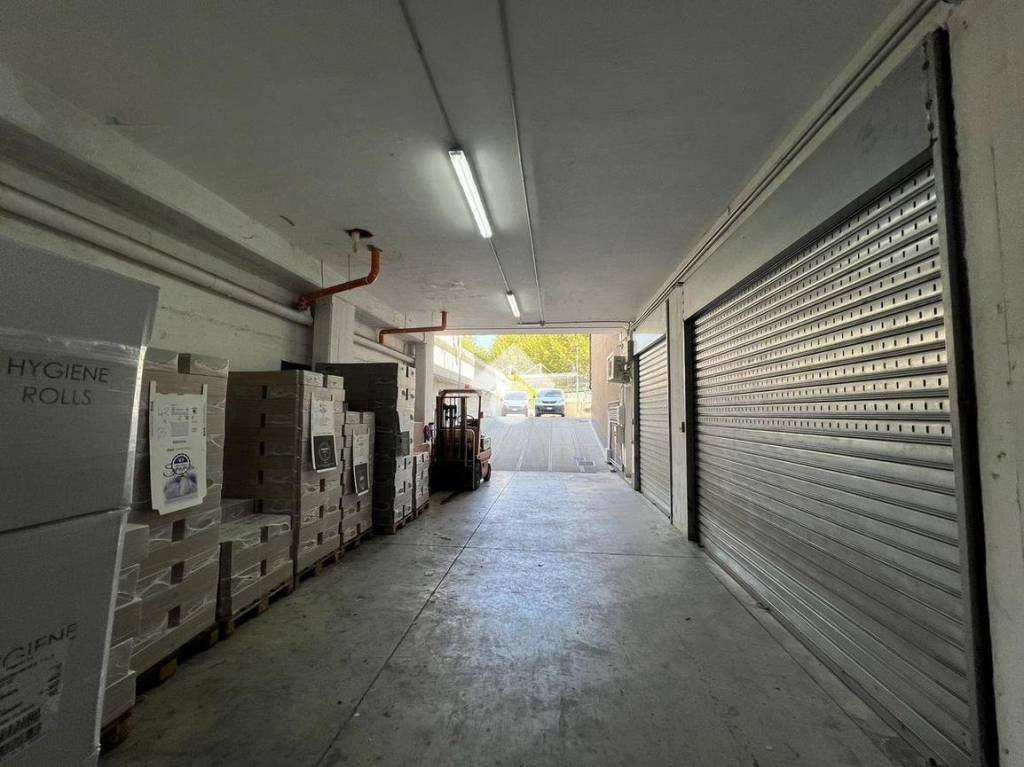 immagine annuncio 7 di 14