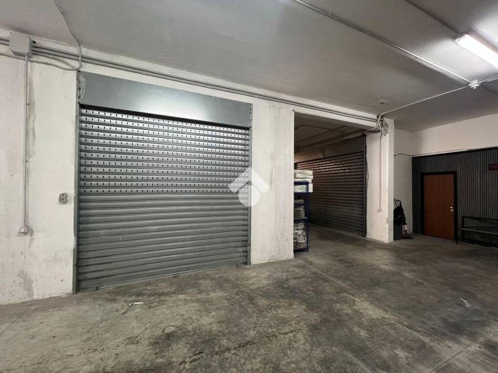 immagine annuncio 9 di 14