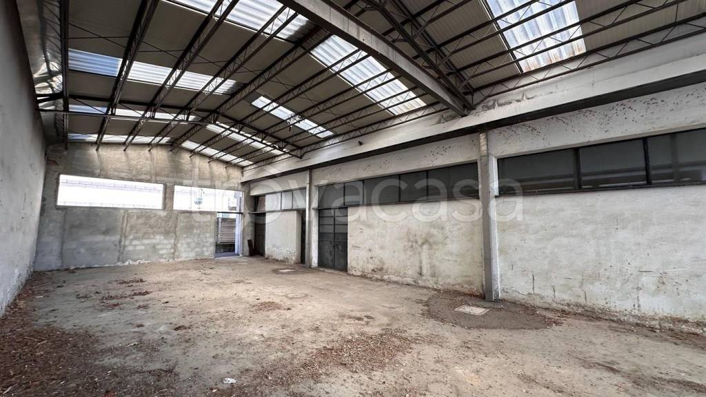 immagine annuncio 4 di 14