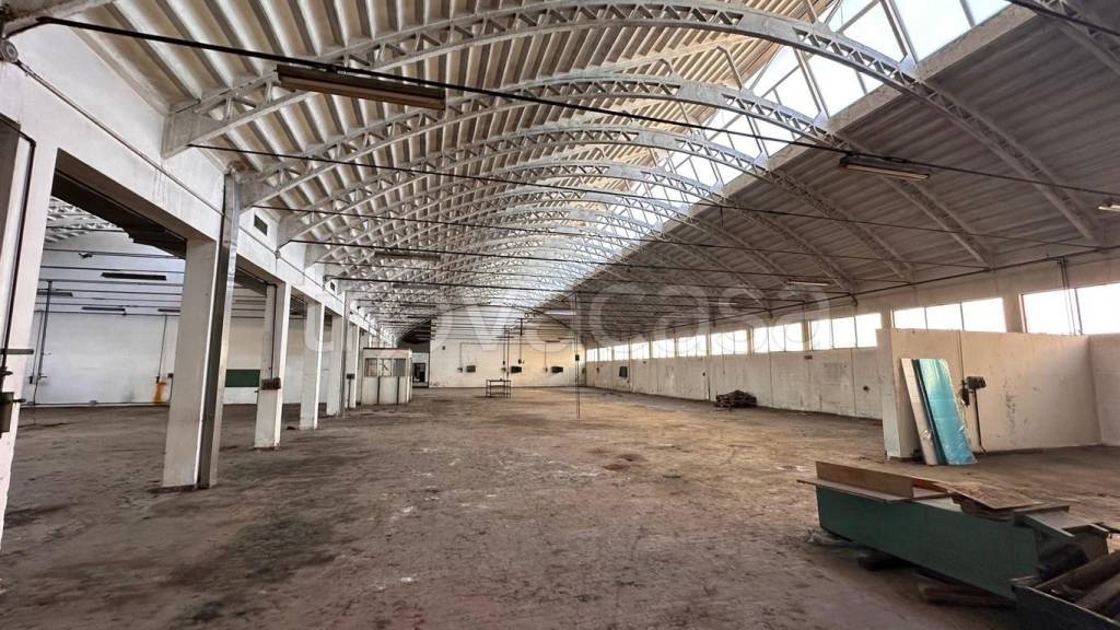 immagine annuncio 6 di 14