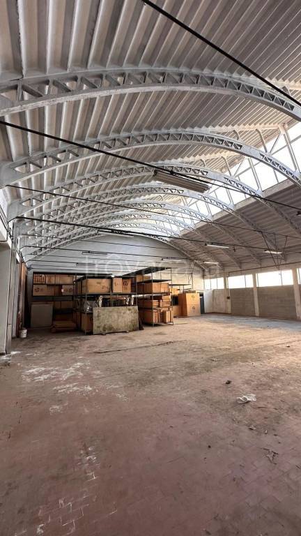 immagine annuncio 9 di 14