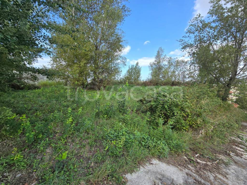 immagine annuncio 1 di 9