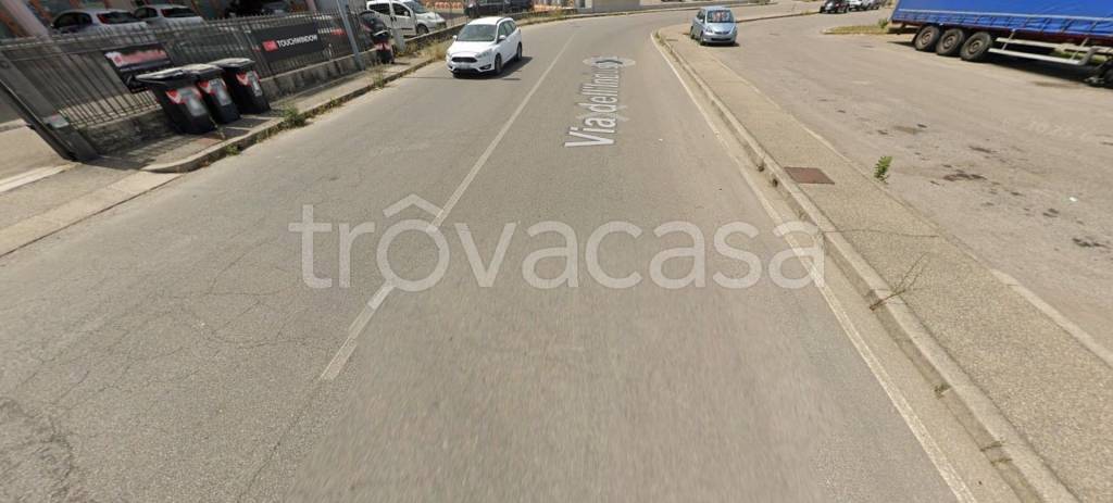 immagine annuncio 3 di 11