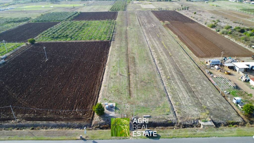 immagine annuncio 1 di 6