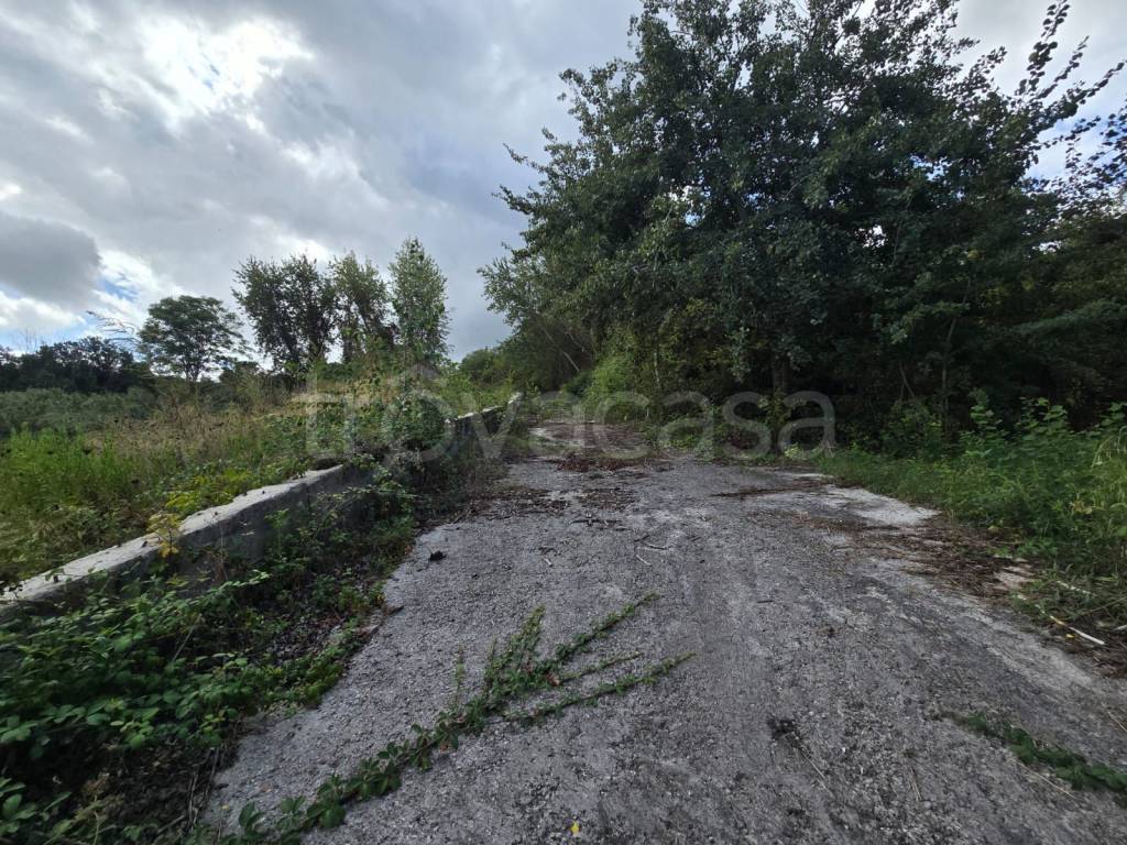 immagine annuncio 5 di 9