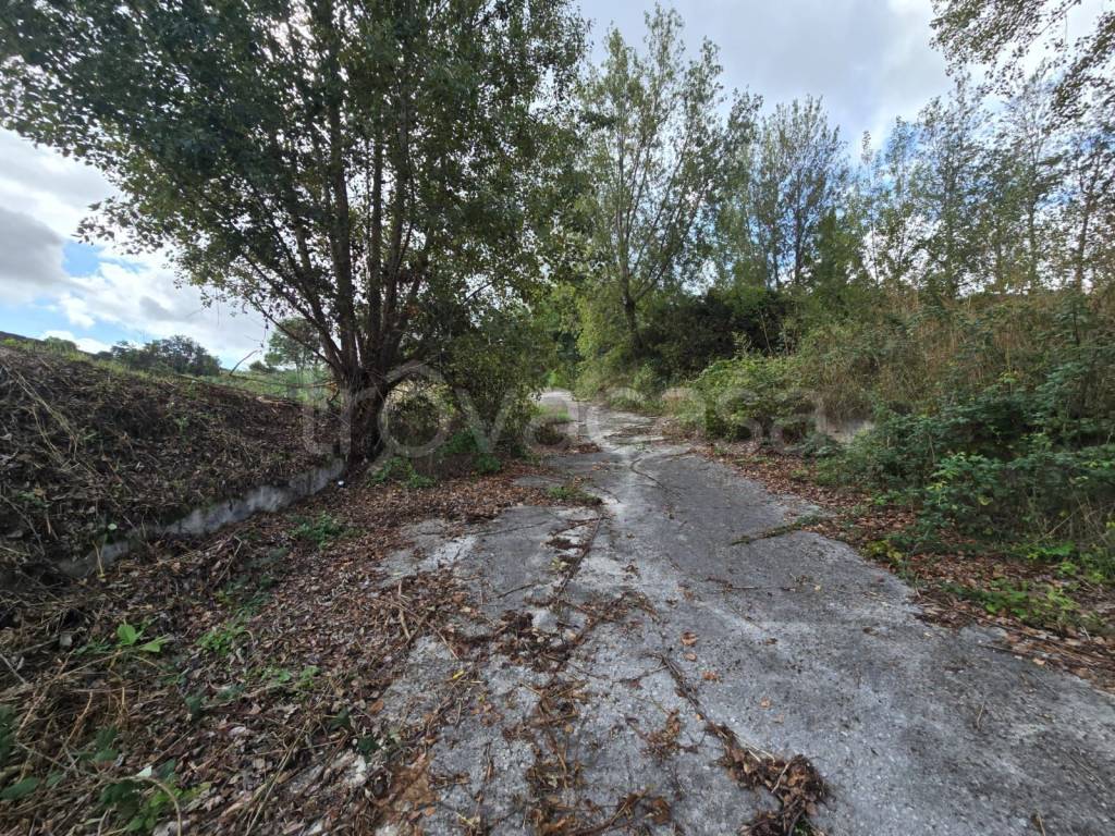 immagine annuncio 4 di 9