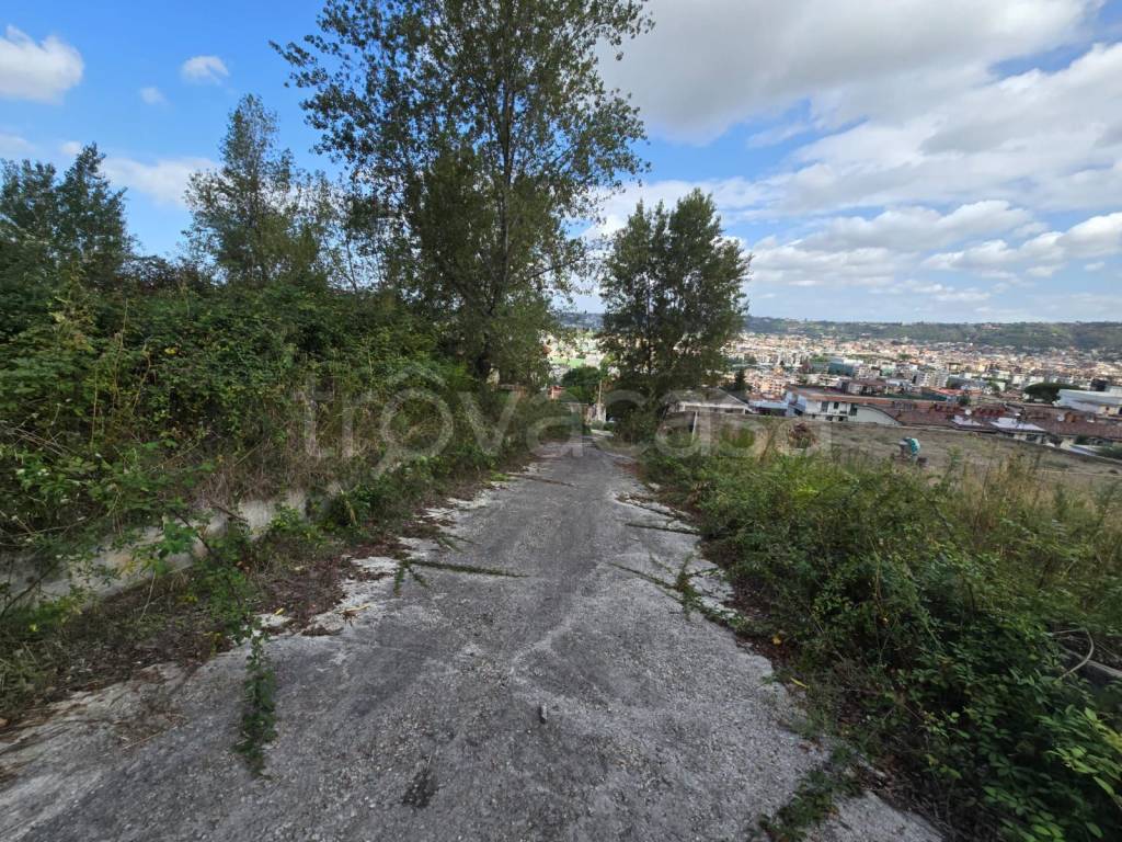 immagine annuncio 6 di 9