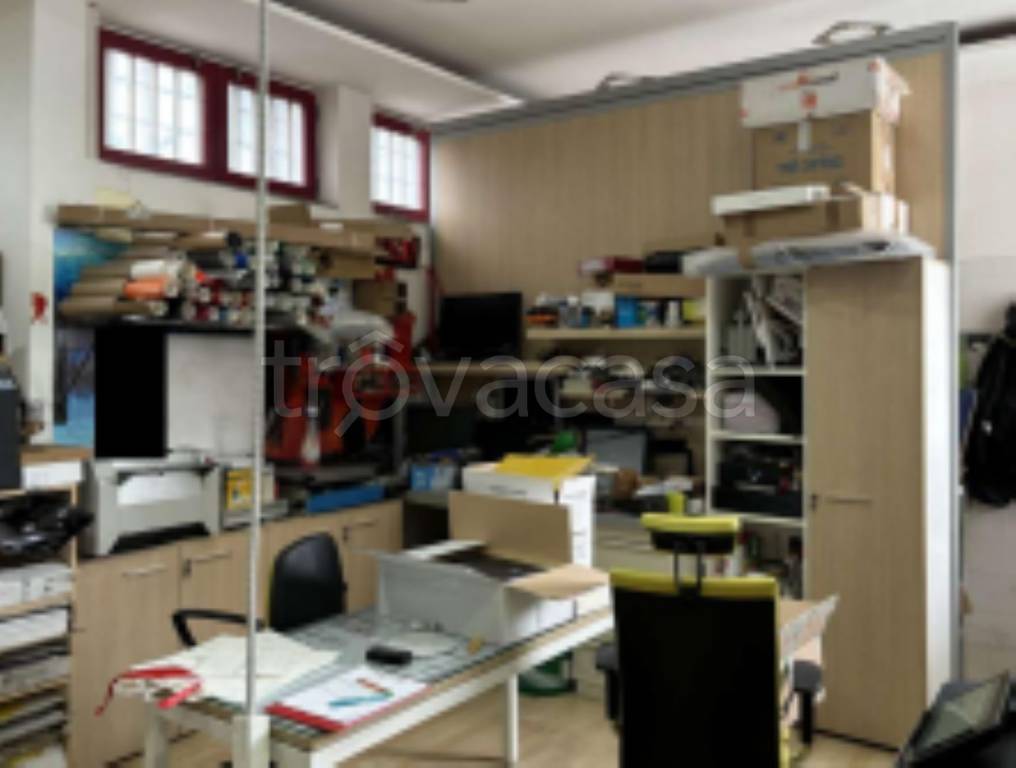 immagine annuncio 3 di 11