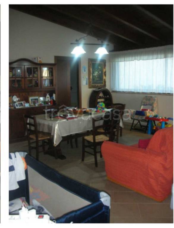 immagine annuncio 12 di 14