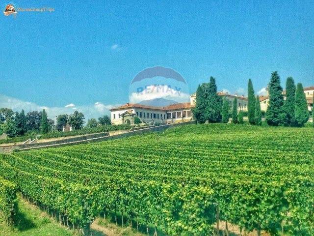 immagine annuncio 12 di 14