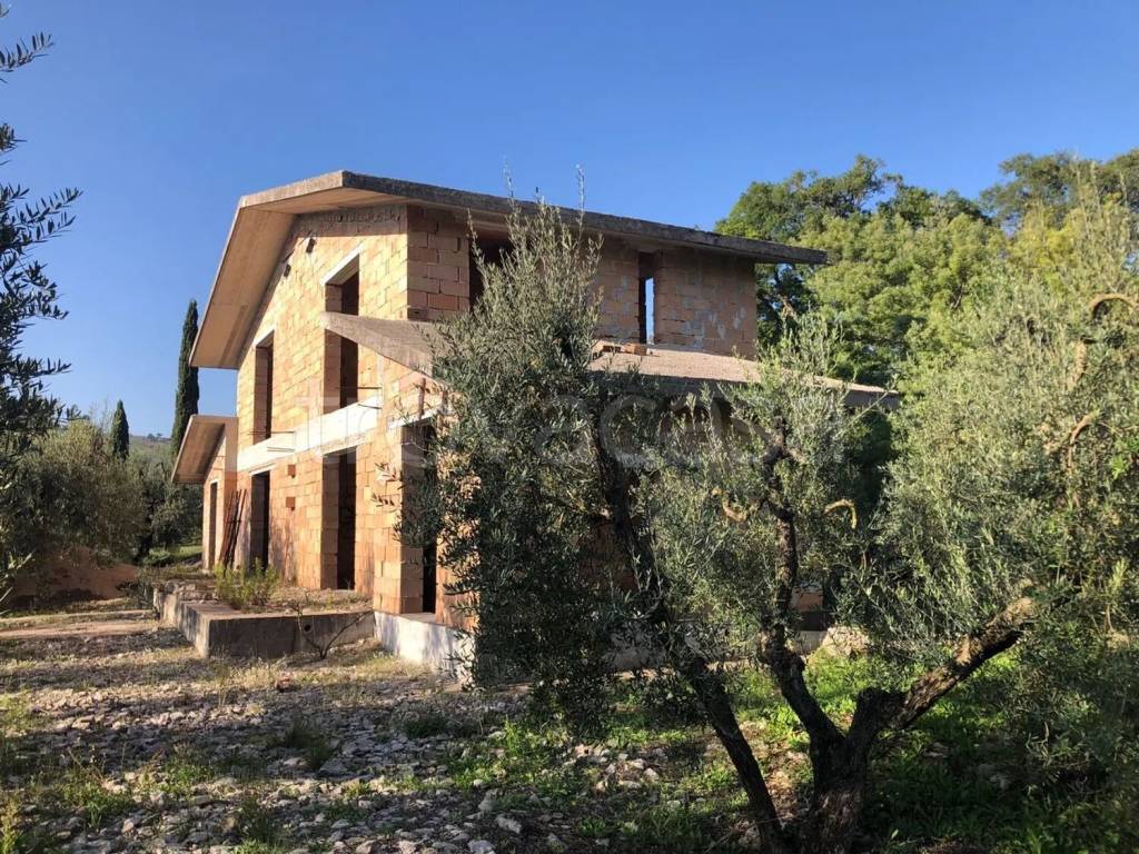 immagine annuncio 8 di 12