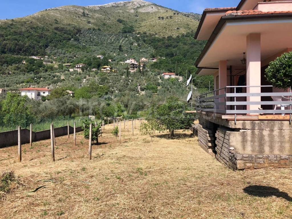 immagine annuncio 6 di 13