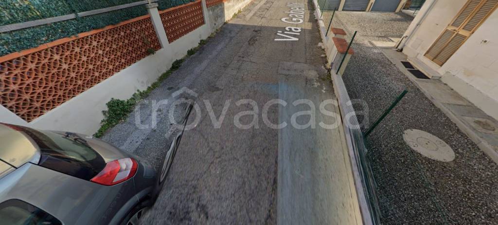immagine annuncio 11 di 12