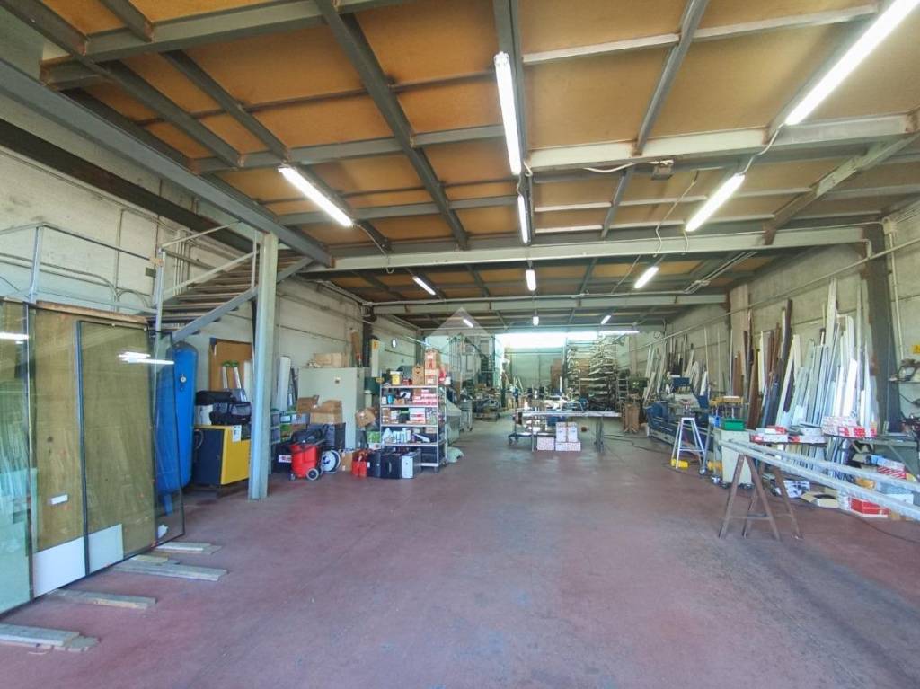 immagine annuncio 11 di 15