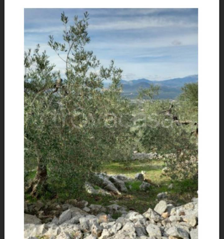 immagine annuncio 4 di 11