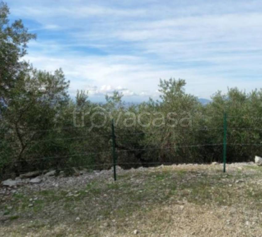 immagine annuncio 7 di 11