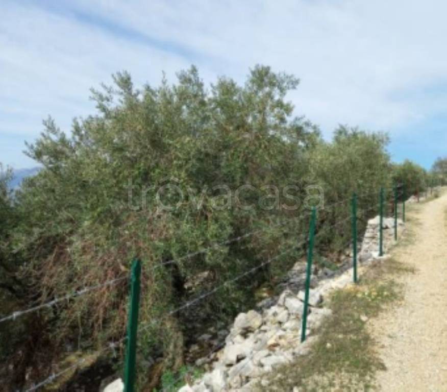 immagine annuncio 8 di 11