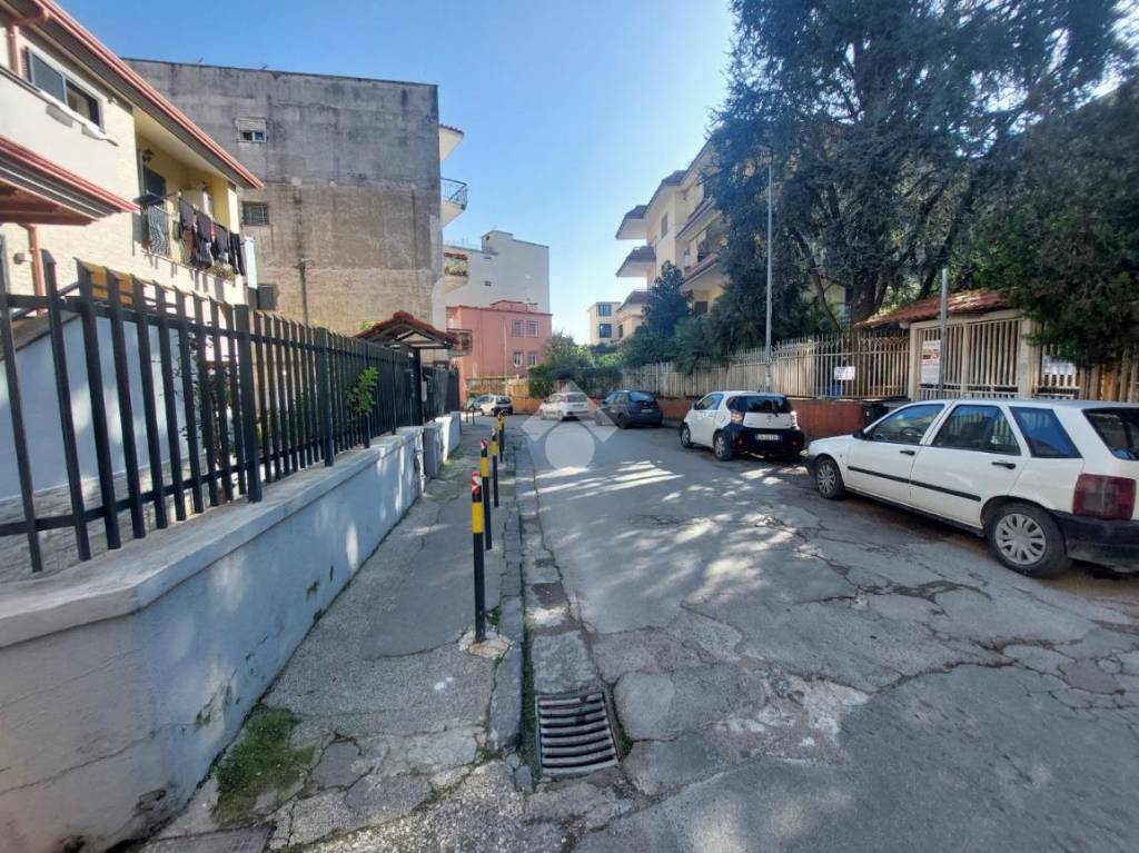 immagine annuncio 3 di 14