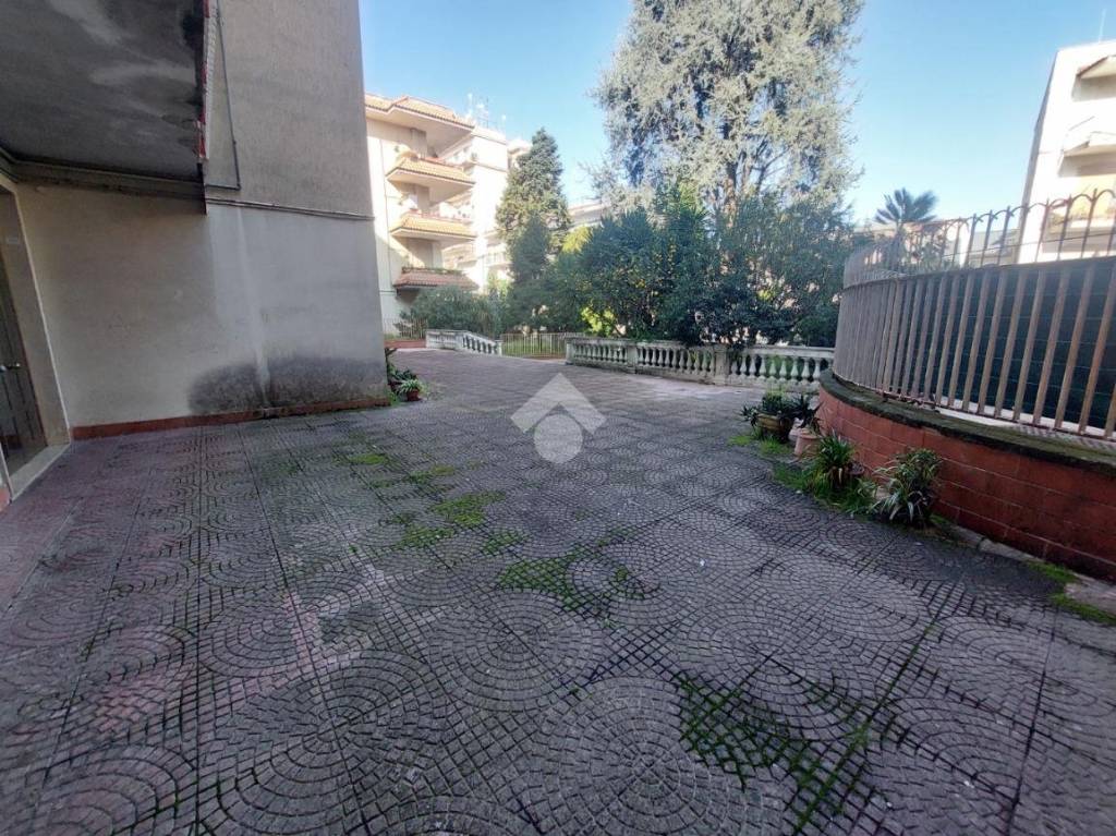 immagine annuncio 11 di 14