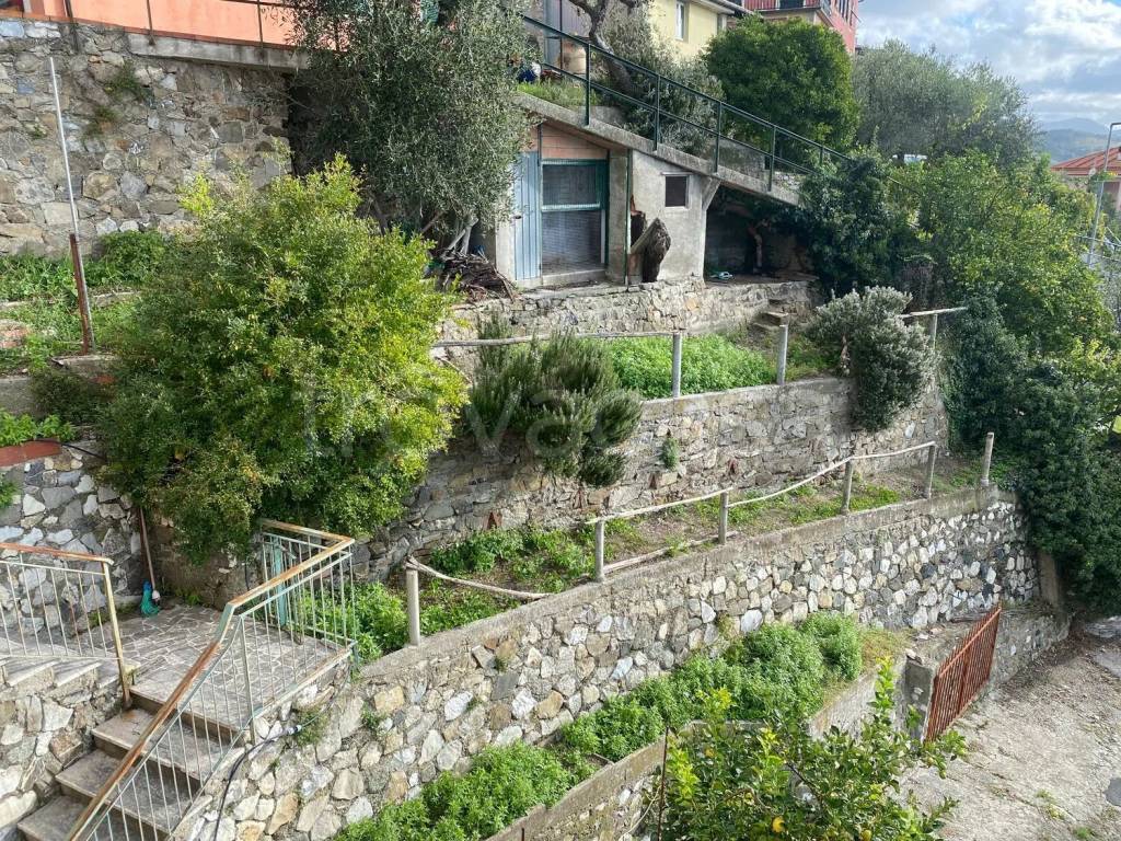 immagine annuncio 4 di 8