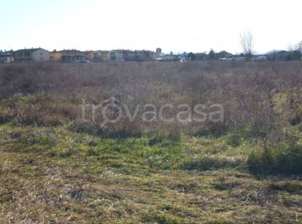 immagine annuncio 10 di 13