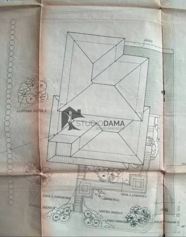 immagine annuncio 3 di 4