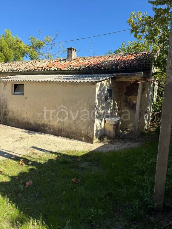 immagine annuncio 3 di 11