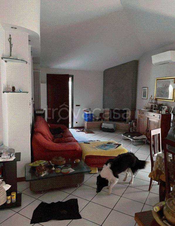 immagine annuncio 6 di 13