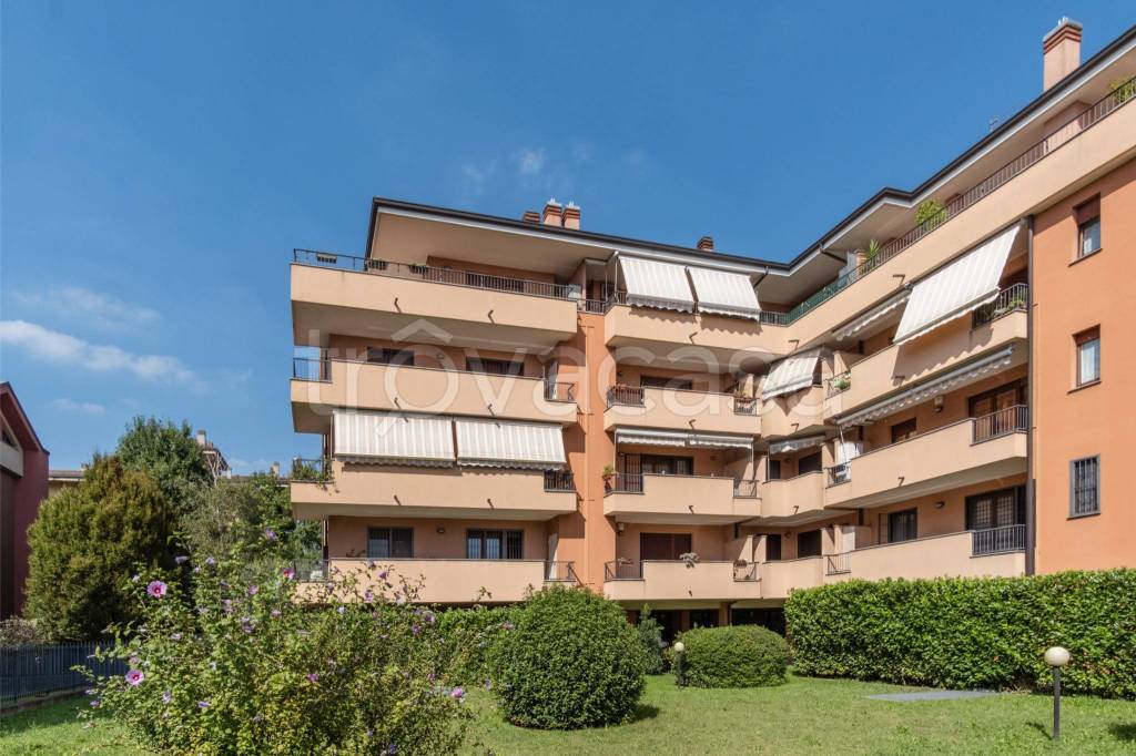 immagine annuncio 6 di 15