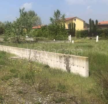 immagine annuncio 1 di 12